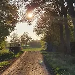 Q1, Ruhe Und Erholung In Der Eifel
