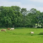 Q1, Ruhe Und Erholung In Der Eifel