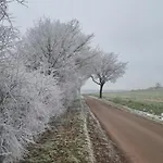 Q1, Ruhe Und Erholung In Der Eifel Zulpich