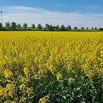 Q1, Ruhe Und Erholung In Der Eifel *