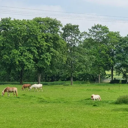 Q1, Ruhe Und Erholung In Der Eifel