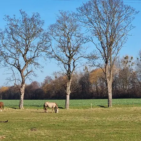 Q1, Ruhe Und Erholung In Der Eifel * צולפיך