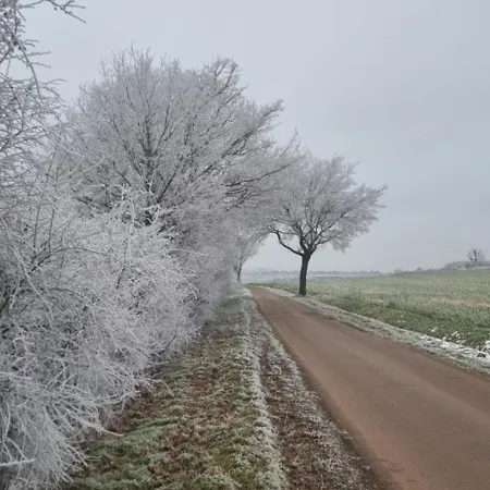 Q1, Ruhe Und Erholung In Der Eifel Zülpich