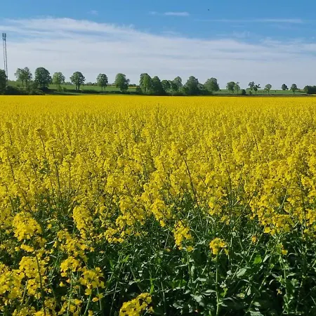 Q1, Ruhe Und Erholung In Der Eifel *