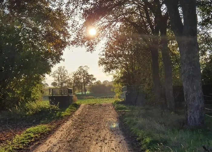Q1, Ruhe Und Erholung In Der Eifel