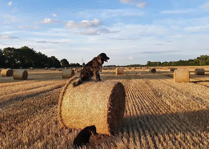 Q1, Ruhe Und Erholung In Der Eifel بيت للعطل زولبيتش