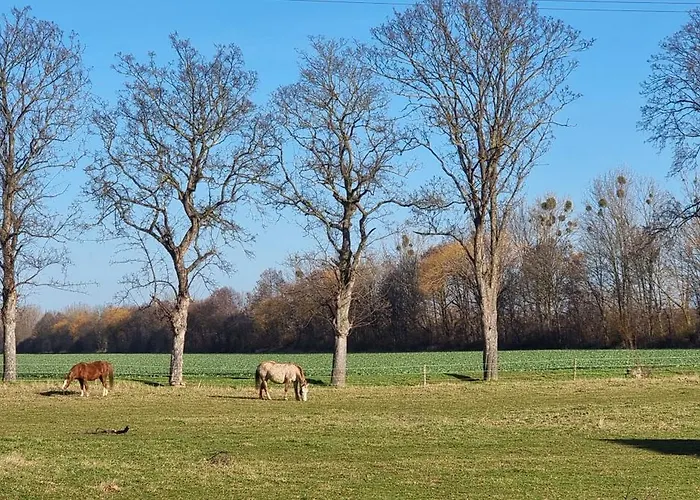 Q1, Ruhe Und Erholung In Der Eifel * Zulpich