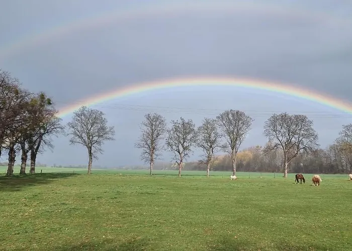 Q1, Ruhe Und Erholung In Der Eifel Feriehus