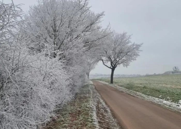 Q1, Ruhe Und Erholung In Der Eifel زولبيتش