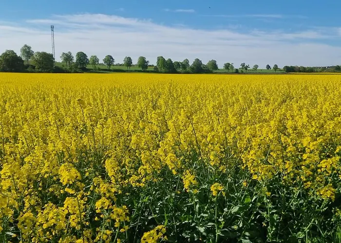 Q1, Ruhe Und Erholung In Der Eifel *